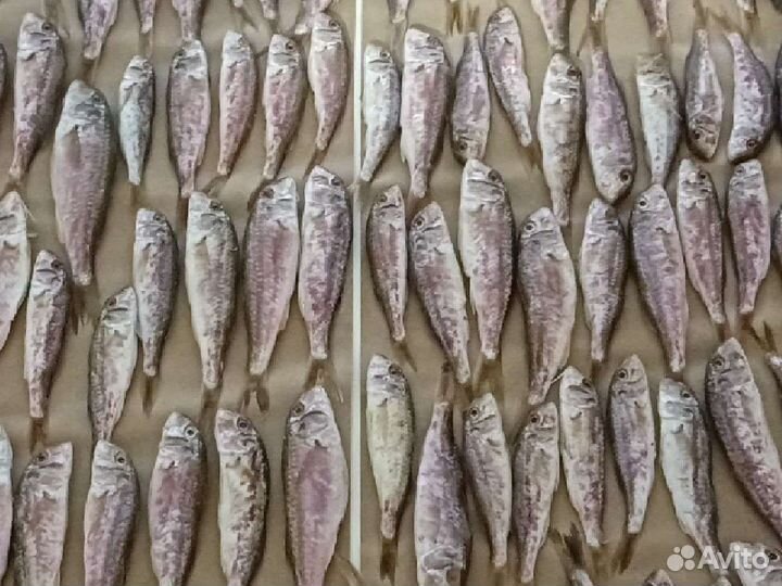 Вяленая рыба морская Черноморская под заказ