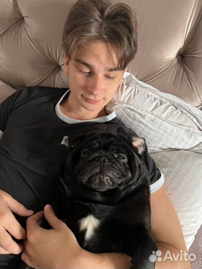 Репетитор по математике и информатике