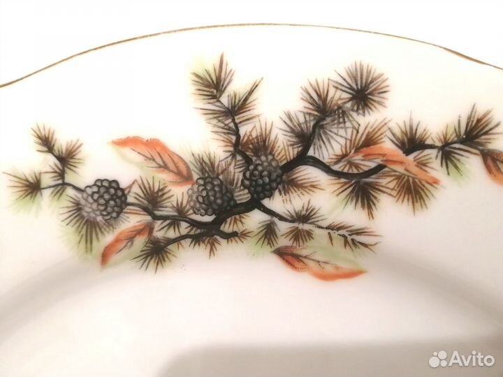 Тарелка времен СССР японская Шишки