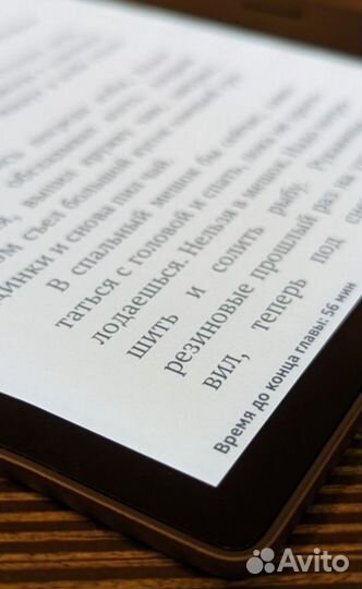 Электронная книга Kindle Oasis