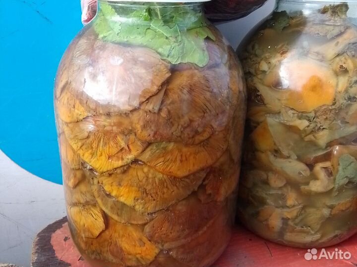 Рыжики соленые