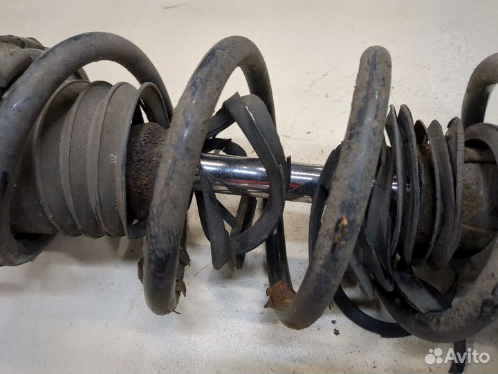 Амортизатор подвески Honda CR-V, 2008