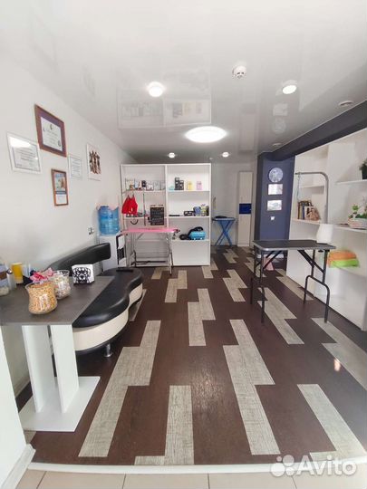 Профессионая стрижка собак