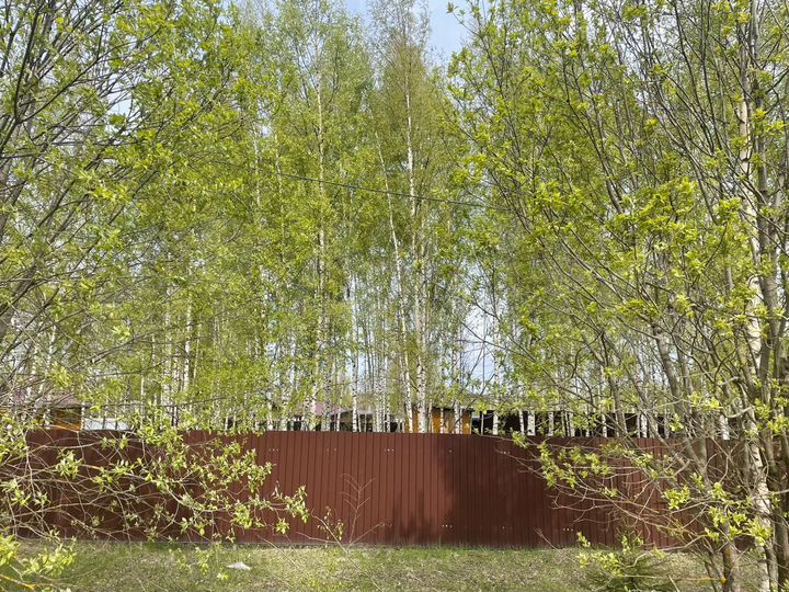 Участок 10 сот. (ИЖС)