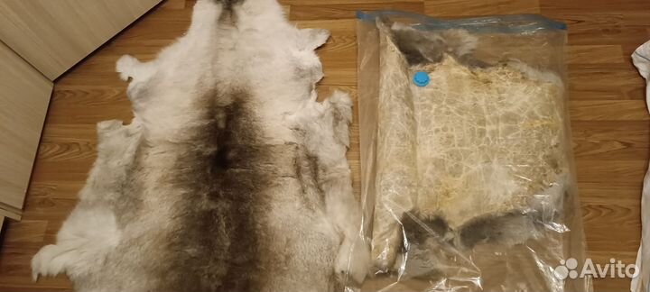 Шкура северного оленя