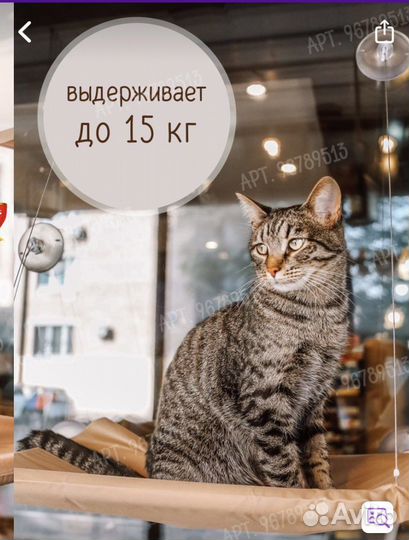 Лежанка, гамак для кошки на окно