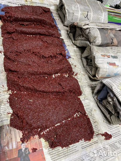 Мотыль Лиман