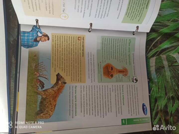 Журналы Галилео