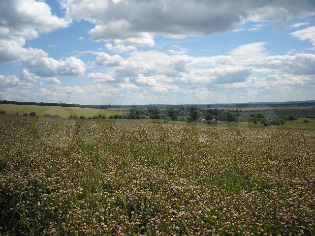 Участок 44 сот. (СНТ, ДНП)