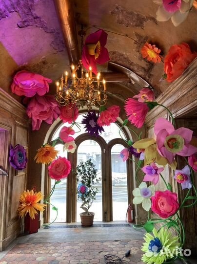 Оформление витрин, ресторанов