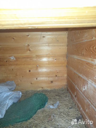 Будка для собаки утепленная