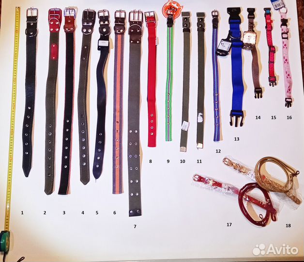 Ошейник, шлейка для собак