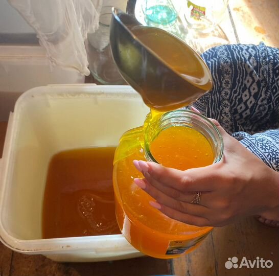 Мёд башкирский липовый
