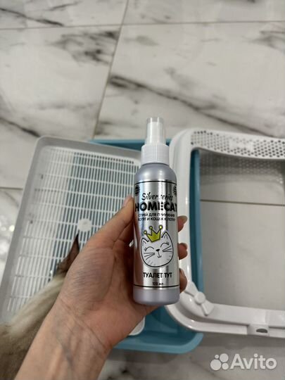 Лоток для кошек