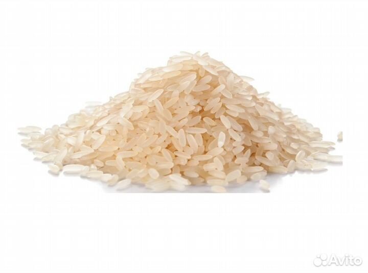 Рис узбекский Лазер (Лазарь)