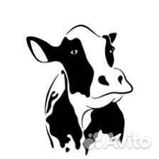 Телки стельные