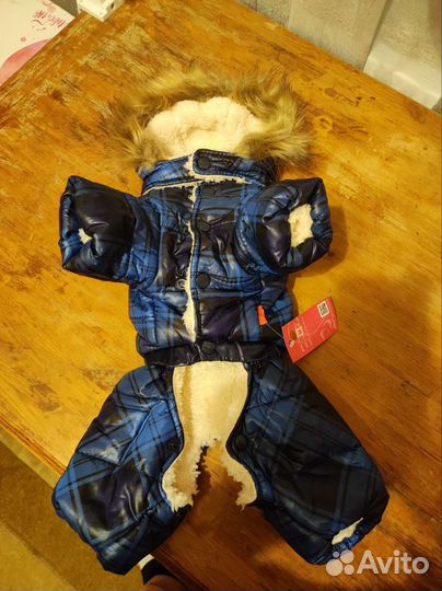 Костюм для собаки