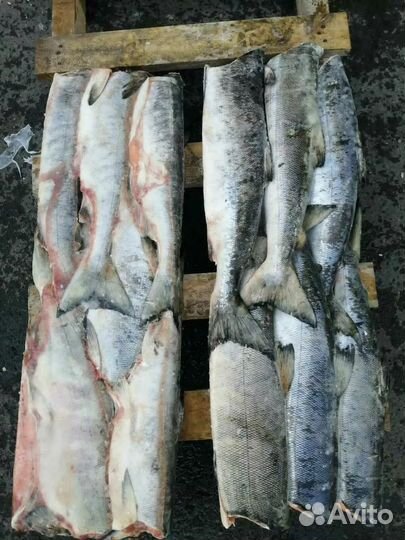 Кета серебро(без головы )