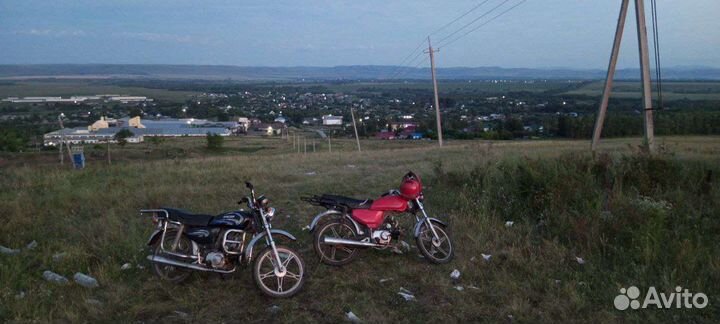 Продам альфу рейсер с торгом