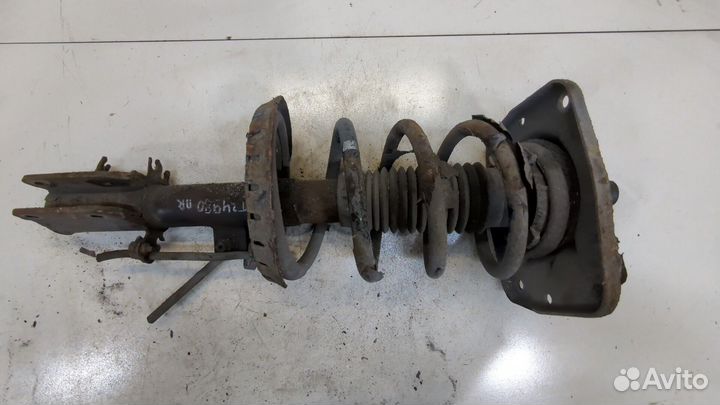 Амортизатор подвески Peugeot Expert, 2013