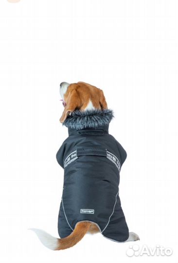 Зимняя попона для собак