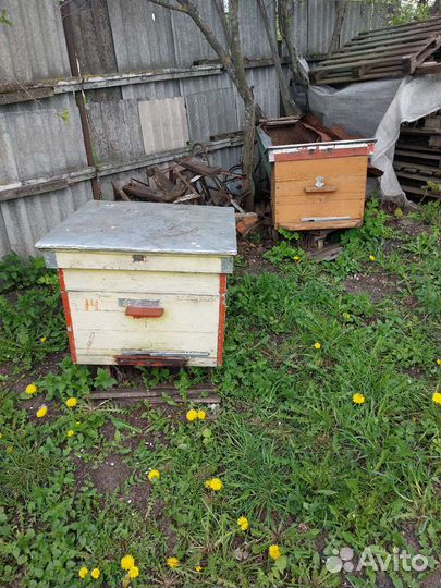 Улей для пчел