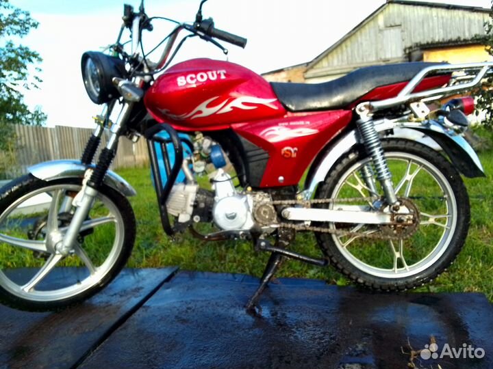 Альфа скаут