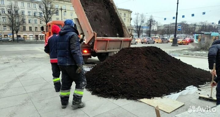 Плодородная земля