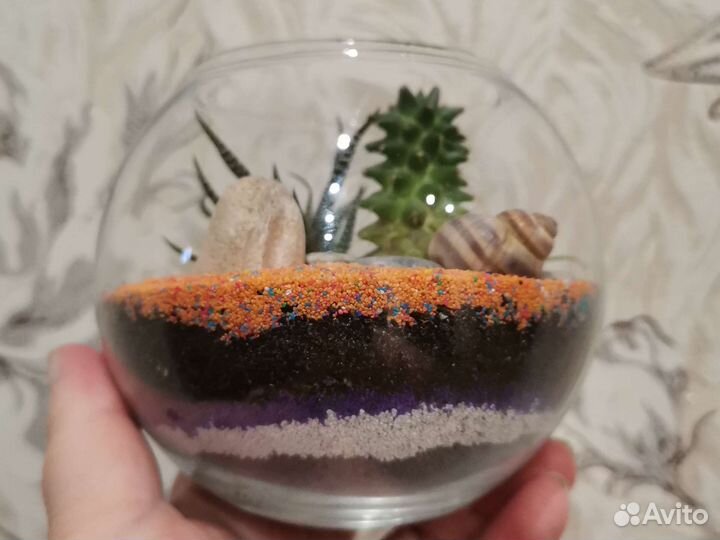 Флорариум с суккулентами 