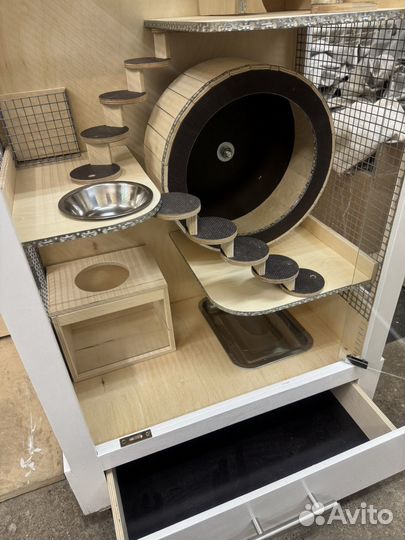 Витрина для шиншилл