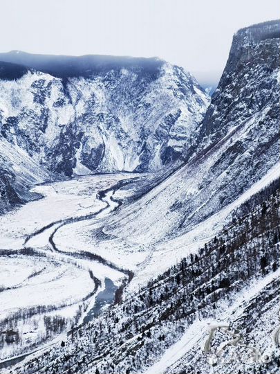 Услуга: Аренда джипа с водителем