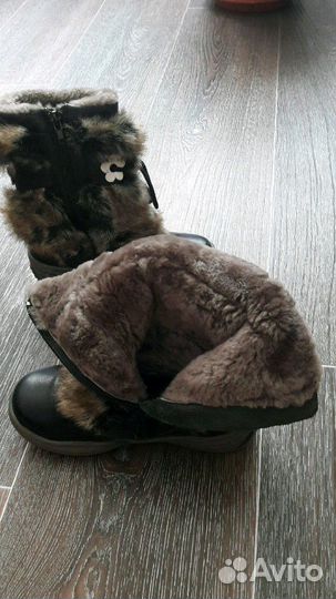 Сапоги