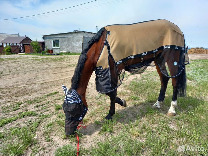 Попона антимоскитная 135 см