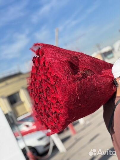 101шт роза 150см