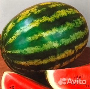 Семена арбуза Продюсер