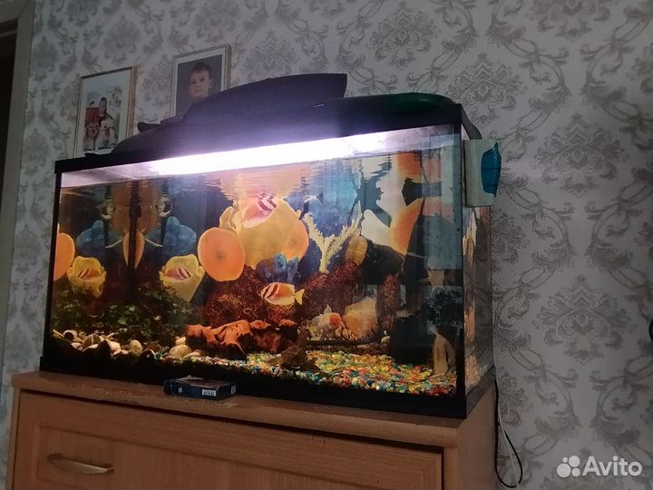 Аквариум с рыбками бу
