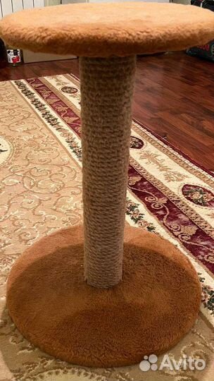 Когтеточка