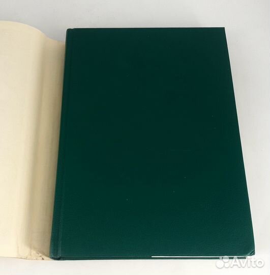 Царица Катерина Алексеевна, Анна и Виллем Монс