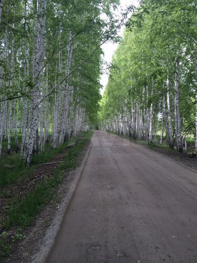 Участок 1,12 га (СНТ, ДНП)