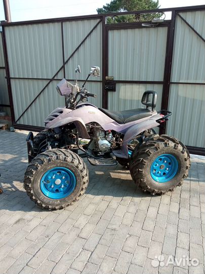 Kвадроцикл patron skaner