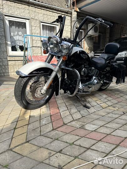 Harley-davidson flstn