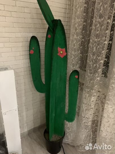 Кактус декоративный