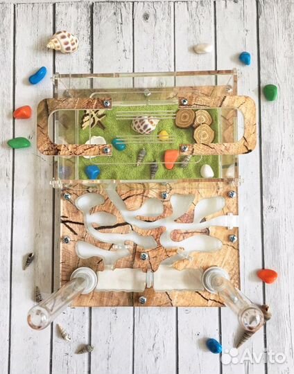 Муравьиная ферма стандарт 