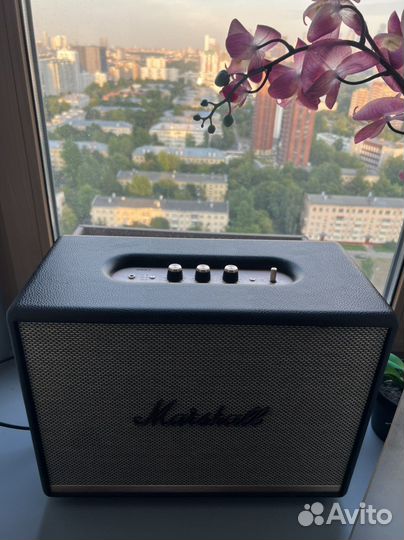 Колонка marshall woburn ll