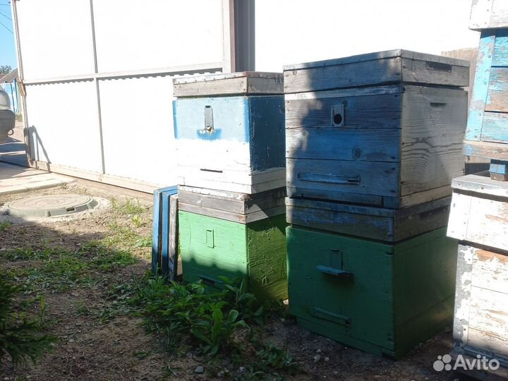 Улей для пчел