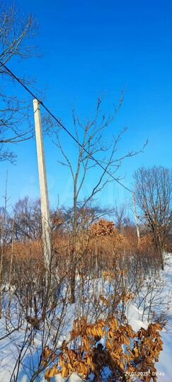 Участок 10 сот. (СНТ, ДНП)