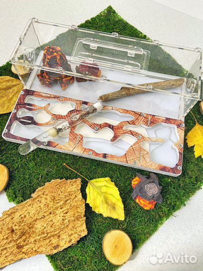 Муравьиная ферма с муравьями - жнецами