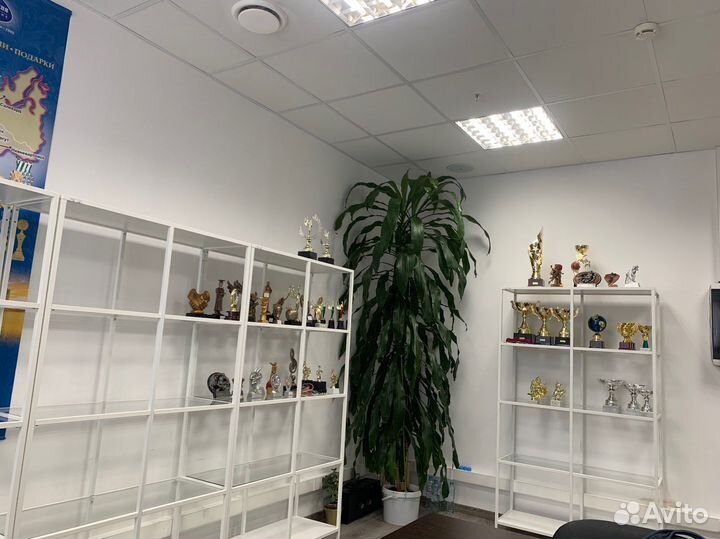 Драцена душистая