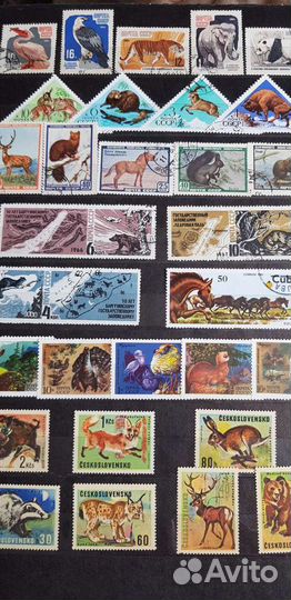 Альбом с марками