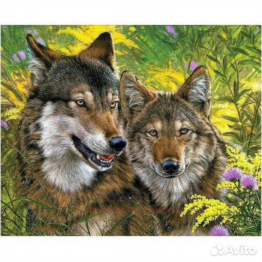 Картина по номерам 30x40 Серые волки среди летних